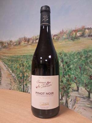 IGP Rouge Pinot Noir 2023 "Saveur de Terroir"