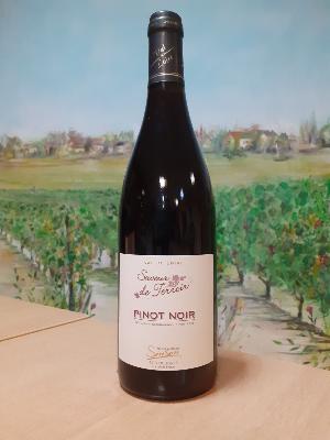 IGP Rouge Pinot Noir 2022 "Saveur de Terroir"